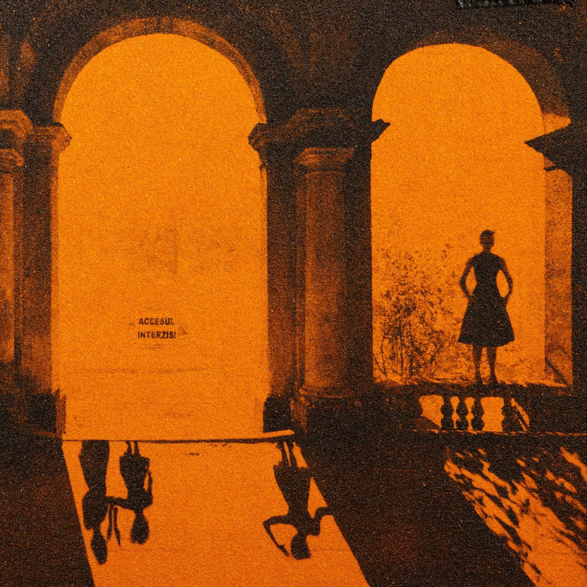 Birgit Graschopf x Rollei BLACK MAGIC