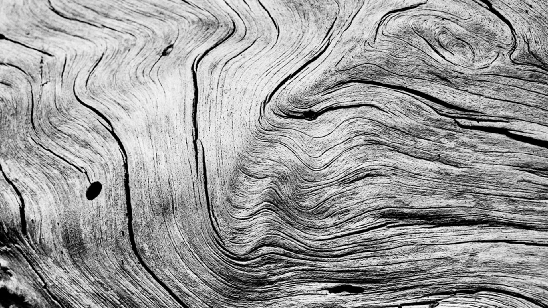 Rollei Ortho 25plus - Der Schwarzweißfilm für Puristen