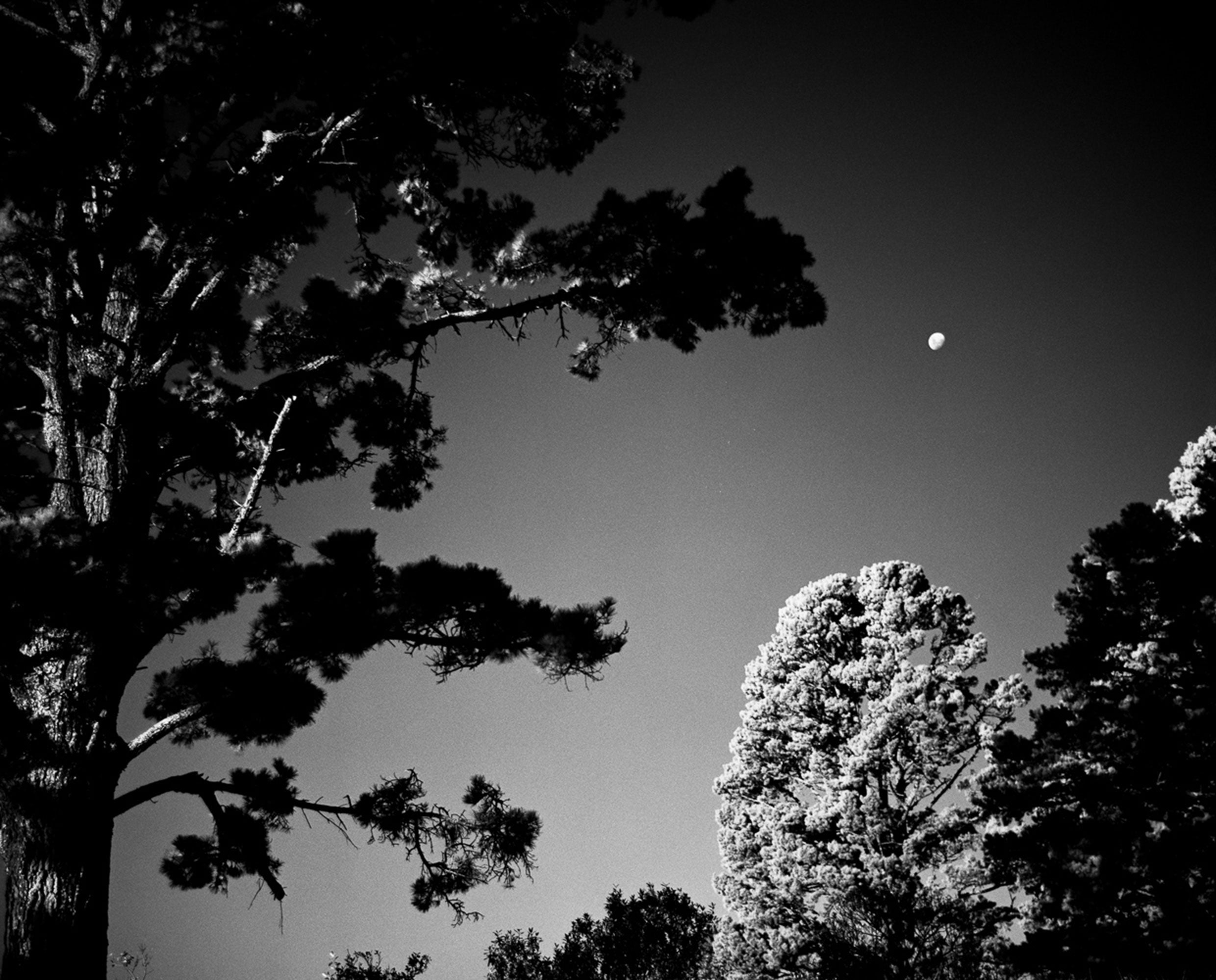 Rollei Infrared 400 35mm 36 exposures
