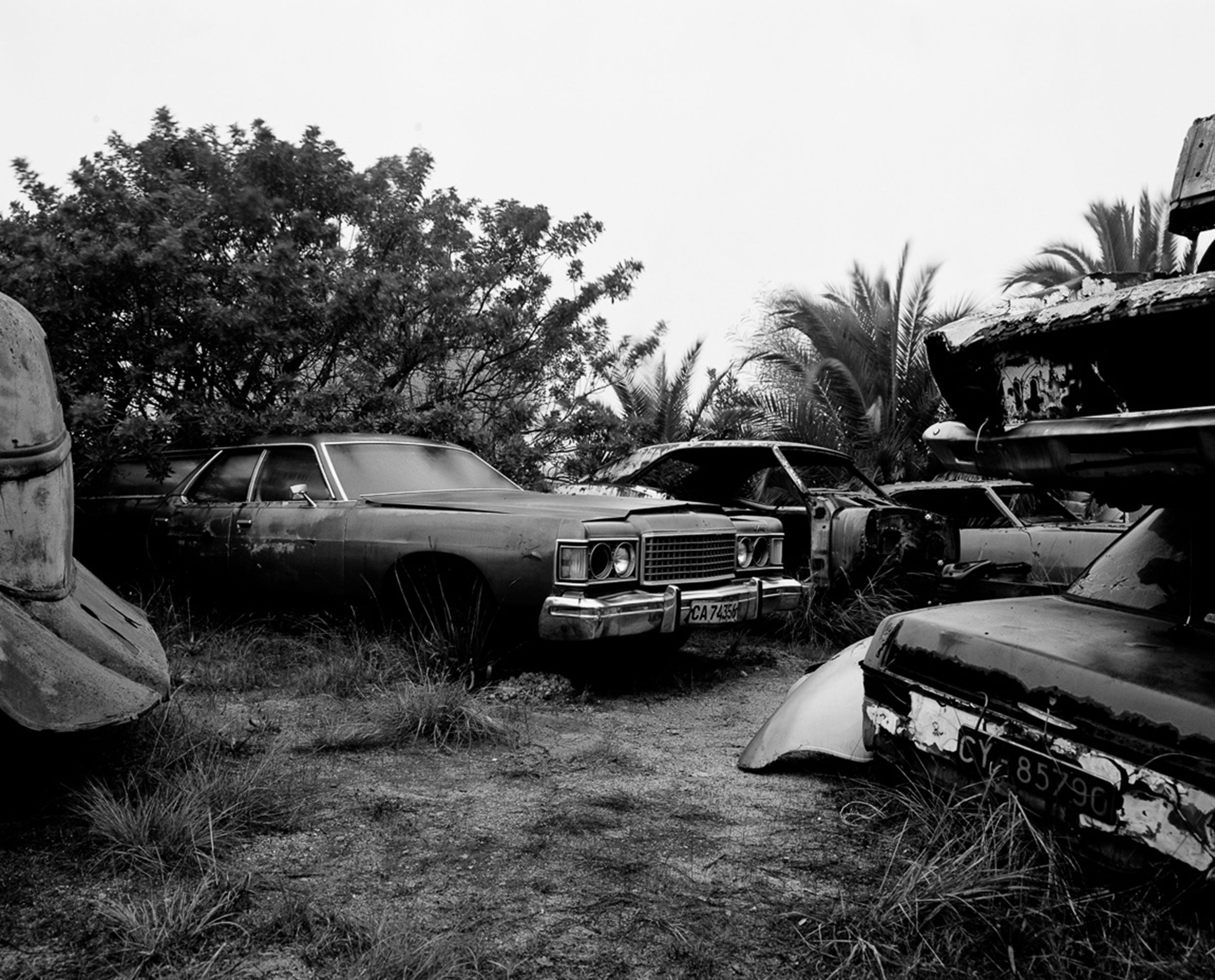 Rollei Retro 80S 35mm 36 exposures