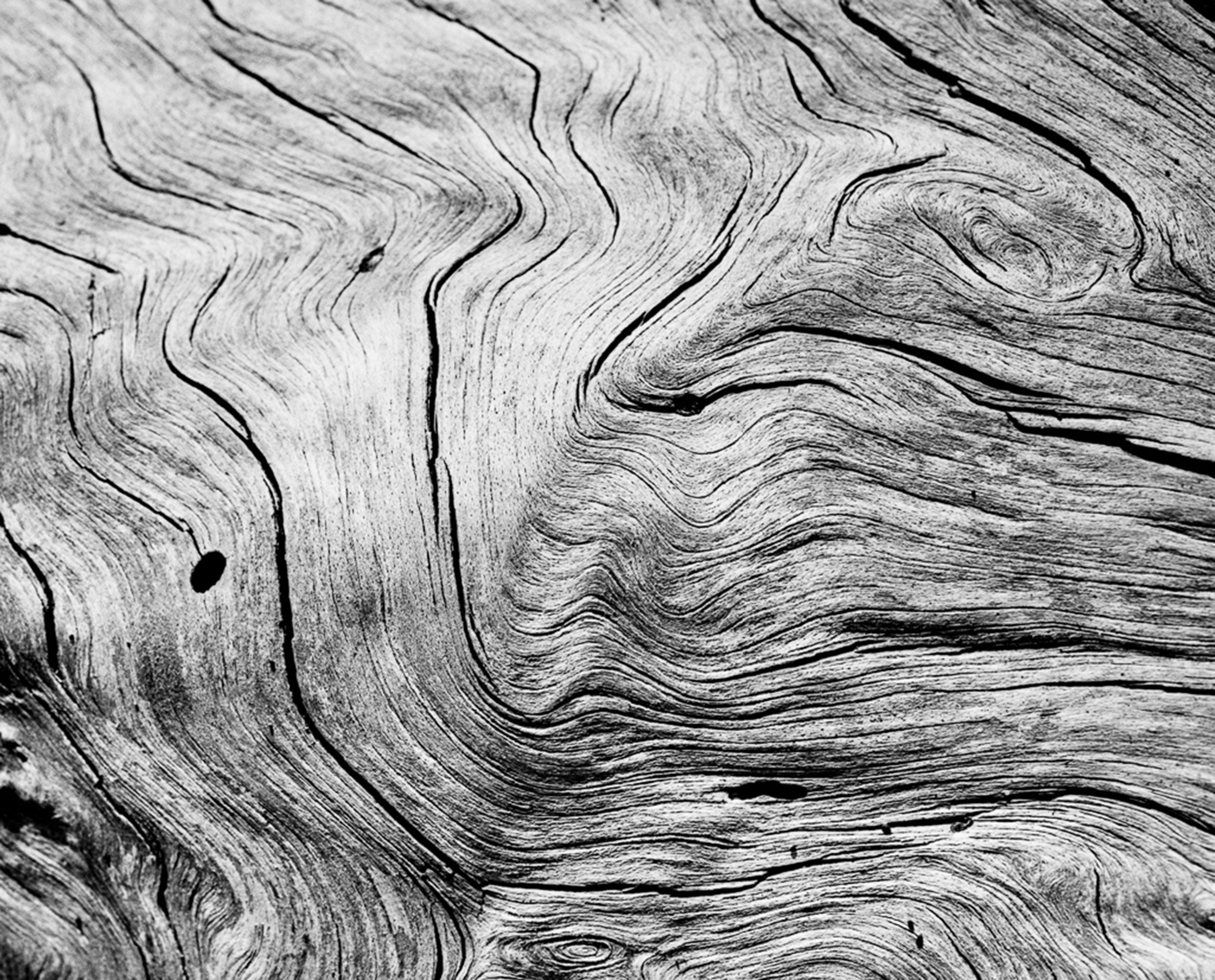 Rollei Ortho 25 plus | roll film 120