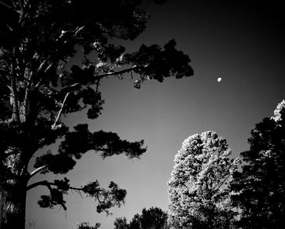 Rollei Infrared 400 35mm 36 exposures