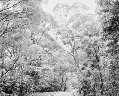 Rollei RPX 25 roll film 120